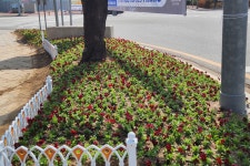 글목록 | 경주시 보덕동 - 열린마당>우리마을 소식 경주시 보덕동, 경주시청,경주시 , 경주, 시청, Gyeongju-si