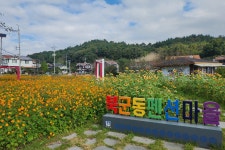 글목록 | 경주시 보덕동 - 열린마당>우리마을 소식 경주시 보덕동, 경주시청,경주시 , 경주, 시청, Gyeongju-si