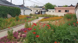 (글보기)경주시 아름다운 꽃길 선정, 시민 참여 활발 경주는 도시전체가 꽃 가꾸기로 분주 | 경주시정뉴스 - 시정소식 >최신기사