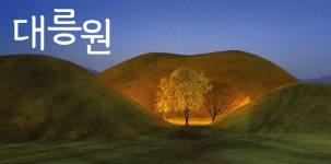 (글보기)‘5월 가정의 달’ 맞이해 코로나19로 지친 관광객을 위한 경주시시설관리공단 특별이벤트 마련 | 경주시정뉴스 - 시정소식 >많이본기사
