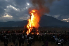 글목록 | 경주시정뉴스 - 시정소식 >많이본기사