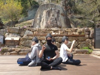 글목록 | 경주시정뉴스 - 시정소식 >많이본기사