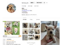 (글보기)하몽이 입양후기 입니다. | 경주동물사랑보호센터 경주동물사랑보호센터, 경주동물사랑보호센터 홈페이지, 경주시