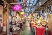 경주시 관광자원 영상이미지 - 이미지 다운로드 >행사,축제 >벚꽃 축제