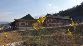 (글보기)화랑마을에도 봄이오나봄, #우린누군가에게봄이었을까요? | 지금 화랑마을은? | 알림마당 | 화랑마을