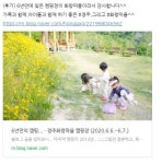 (글보기)(이용후기) 6년만에 찾은 캠핑장 - 경주 화랑마을 캠핑장 | 지금 화랑마을은? | 알림마당 | 화랑마을