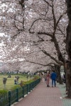 경주시 관광자원 영상이미지 - 이미지 다운로드 >경주 여기 저기 >경주 시내권