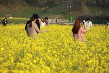 경주시 관광자원 영상이미지 - 이미지 다운로드 >경주 여기 저기 >경주 시내권