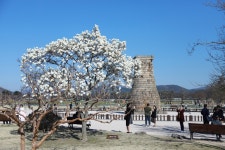 경주시 관광자원 영상이미지 - 이미지 다운로드 >경주 여기 저기 >경주 시내권