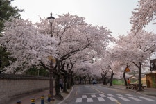 경주시 관광자원 영상이미지 - 이미지 다운로드 >경주 여기 저기 >경주 시내권