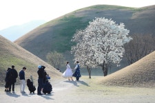 경주시 관광자원 영상이미지 - 이미지 다운로드 >경주 여기 저기 >경주 시내권