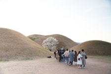 경주시 관광자원 영상이미지 - 이미지 다운로드 >경주 여기 저기 >경주 시내권