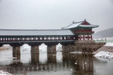 경주시 관광자원 영상이미지 - 이미지 다운로드 >경주 여기 저기 >경주 시내권