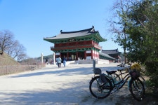 경주시 관광자원 영상이미지 - 이미지 다운로드 >경주 여기 저기 >경주 시내권