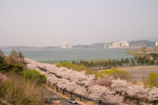 경주시 관광자원 영상이미지 - 이미지 다운로드 >경주 여기 저기 >보문관광단지권