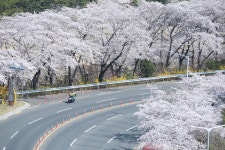 경주시 관광자원 영상이미지 - 이미지 다운로드 >경주 여기 저기 >보문관광단지권