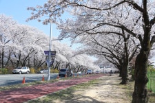 경주시 관광자원 영상이미지 - 이미지 다운로드 >경주 여기 저기 >보문관광단지권