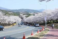 경주시 관광자원 영상이미지 - 이미지 다운로드 >경주 여기 저기 >보문관광단지권