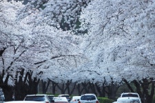경주시 관광자원 영상이미지 - 이미지 다운로드 >경주 여기 저기 >보문관광단지권