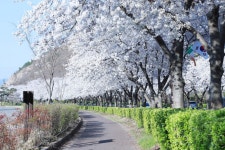 경주시 관광자원 영상이미지 - 이미지 다운로드 >경주 여기 저기 >보문관광단지권