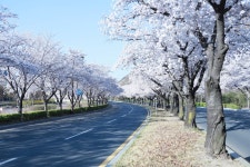 경주시 관광자원 영상이미지 - 이미지 다운로드 >경주 여기 저기 >보문관광단지권