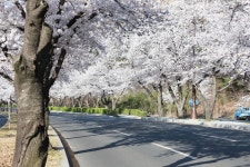 경주시 관광자원 영상이미지 - 이미지 다운로드 >경주 여기 저기 >보문관광단지권