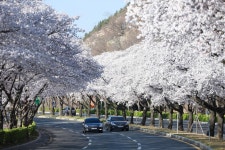 경주시 관광자원 영상이미지 - 이미지 다운로드 >경주 여기 저기 >보문관광단지권