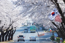 경주시 관광자원 영상이미지 - 이미지 다운로드 >경주 여기 저기 >보문관광단지권