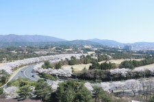 경주시 관광자원 영상이미지 - 이미지 다운로드 >경주 여기 저기 >보문관광단지권