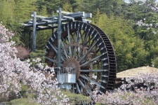 경주시 관광자원 영상이미지 - 이미지 다운로드 >경주 여기 저기 >보문관광단지권