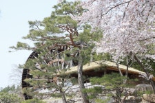 경주시 관광자원 영상이미지 - 이미지 다운로드 >경주 여기 저기 >보문관광단지권