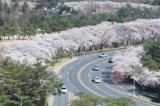 경주시 관광자원 영상이미지 - 이미지 다운로드 >경주 여기 저기 >보문관광단지권