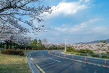 경주시 관광자원 영상이미지 - 이미지 다운로드 >경주 여기 저기 >보문관광단지권