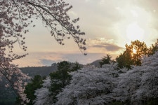 경주시 관광자원 영상이미지 - 이미지 다운로드 >경주 여기 저기 >보문관광단지권