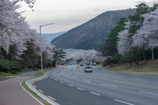 경주시 관광자원 영상이미지 - 이미지 다운로드 >경주 여기 저기 >보문관광단지권