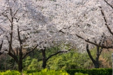 경주시 관광자원 영상이미지 - 이미지 다운로드 >경주 여기 저기 >보문관광단지권