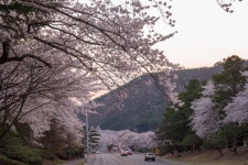 경주시 관광자원 영상이미지 - 이미지 다운로드 >경주 여기 저기 >보문관광단지권