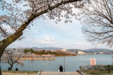 경주시 관광자원 영상이미지 - 이미지 다운로드 >경주 여기 저기 >보문관광단지권