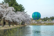 경주시 관광자원 영상이미지 - 이미지 다운로드 >경주 여기 저기 >보문관광단지권