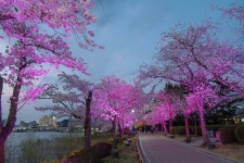 경주시 관광자원 영상이미지 - 이미지 다운로드 >경주 여기 저기 >보문관광단지권