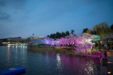 경주시 관광자원 영상이미지 - 이미지 다운로드 >경주 여기 저기 >보문관광단지권