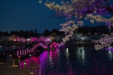 경주시 관광자원 영상이미지 - 이미지 다운로드 >경주 여기 저기 >보문관광단지권