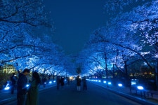 경주시 관광자원 영상이미지 - 이미지 다운로드 >경주 여기 저기 >보문관광단지권