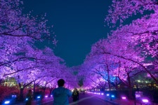 경주시 관광자원 영상이미지 - 이미지 다운로드 >경주 여기 저기 >보문관광단지권