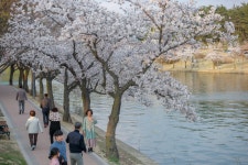 경주시 관광자원 영상이미지 - 이미지 다운로드 >경주 여기 저기 >보문관광단지권