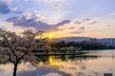 경주시 관광자원 영상이미지 - 이미지 다운로드 >경주 여기 저기 >보문관광단지권