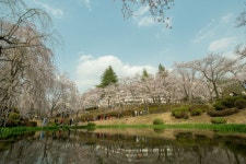 경주시 관광자원 영상이미지 - 이미지 다운로드 >경주 여기 저기 >보문관광단지권