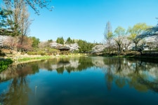 경주시 관광자원 영상이미지 - 이미지 다운로드 >경주 여기 저기 >보문관광단지권