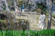 경주시 관광자원 영상이미지 - 이미지 다운로드 >경주 여기 저기 >보문관광단지권