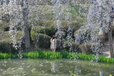 경주시 관광자원 영상이미지 - 이미지 다운로드 >경주 여기 저기 >보문관광단지권